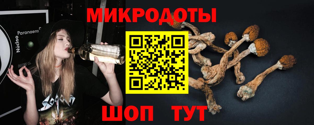 Вязьма  Псилоцибиновые грибы мухоморы  Вход с VPN 